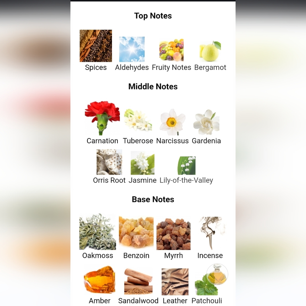 "Gianni Versace" By Versace Vintage Fragrance - Picture 7 of 7